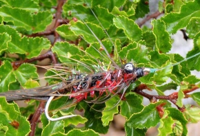 Some glitter Some glitter