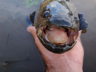 Take care of your fingers Take care of your fingers