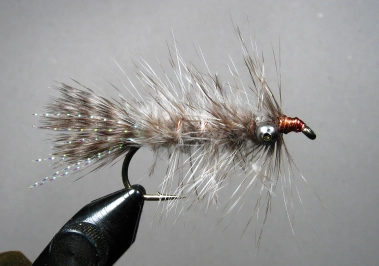 Fred variant Fred variant