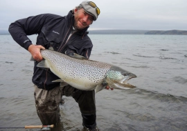 Hog on a nymph Hog on a nymph