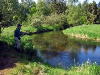 In the shadow In the shadow