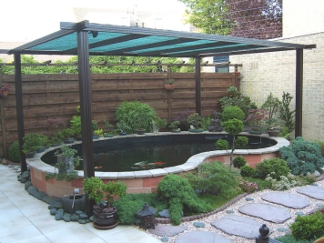 Koi Carp pool Koi Carp pool