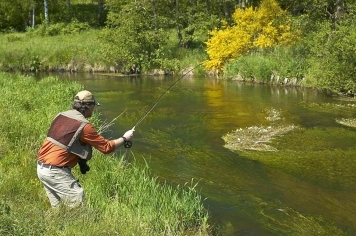 Don't wade! Don't wade!