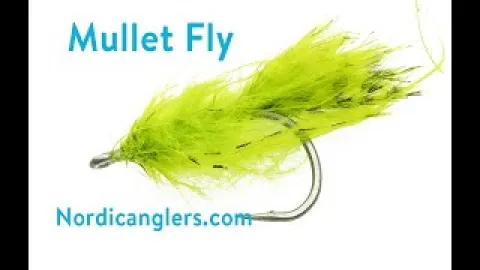 Video thumb for The Crawler