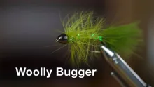 Video thumb for Woolly Bugger