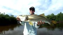 Video thumb for Everglades Tarpon and Snook