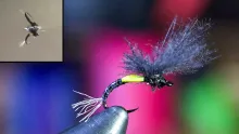Video thumb for Flashy CDC Midge Emerger