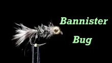 Video thumb for Bannister Bug
