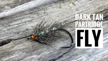 Video thumb for Dark Tan Patridge Goby