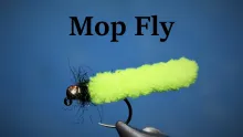 Video thumb for Mop Fly