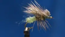 Video thumb for Egg Laying Caddis