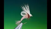 Video thumb for Loop wing emerging caddis
