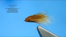 Video thumb for Cinnamon Skating Caddis