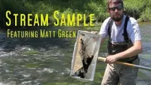 Video thumb for Stream Sample with Entomologist Matt Green (Part 1 of 2)