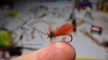 Video thumb for Organza CDC Caddis