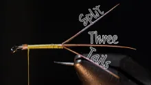 Video thumb for Split Three Tails
