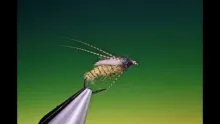 Video thumb for Solomon Caddis Pupa Variant
