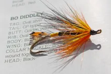 User submitted picture: Bo Diddley