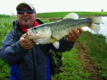 User submitted picture: Great bass in Brazil!