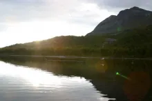 User submitted picture: The fly is falling down