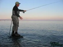 User submitted picture: Henning casting