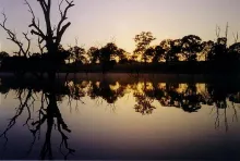 User submitted picture: Rugged skeletons of Austr...