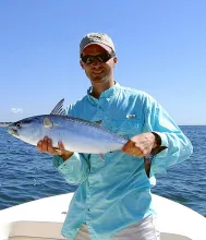 User submitted picture: False albacore caught fro...