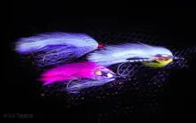 User submitted picture: Streamers