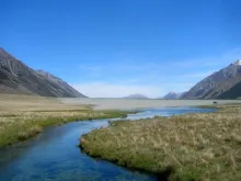 User submitted picture: Some fishos go to the end...