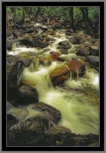 User submitted picture: Nikon F70, nikon 50mm f/1...