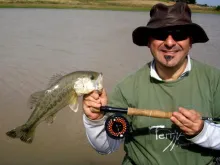 User submitted picture: One more bass!