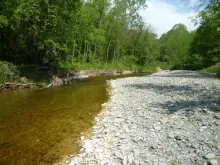 User submitted picture: small stream of the basin...