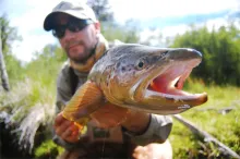 User submitted picture: A chilean brown trout, si...