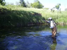 User submitted picture: Japanese guest Toru Hayat...