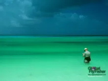 Computer screen wallpaper: Bonefishing