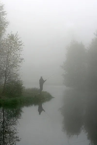 User submitted picture: Somewhere out there....