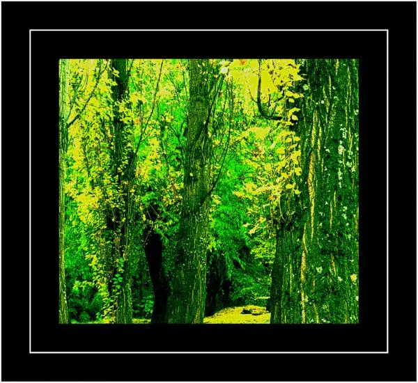 User submitted picture: Autum...Patagonia, Argent...