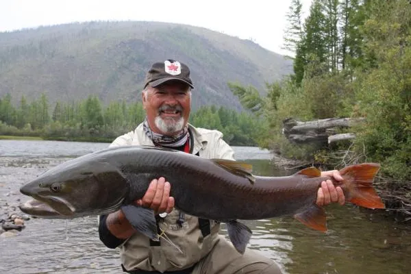 User submitted picture: Taimen caught in Mongolia...