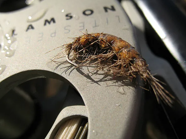 User submitted picture: Sunbathing OE Deep Diving...