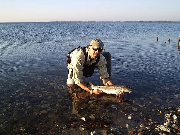 User submitted picture: AFTM #4 + 20mm tippet + s...