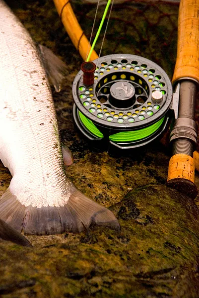 User submitted picture: Swedish Seatrout, April 2...