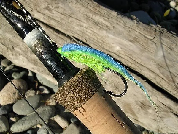 User submitted picture: Salmon fly pausing after ...