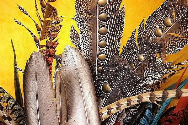 User submitted picture: Feathers for classics sal...